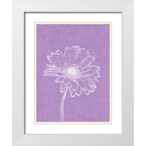 Purple Daisies I White Modern Wood Framed Art Print with Double Matting by Peck, Gail