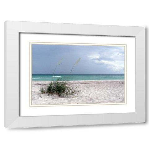 Shoreline White Modern Wood Framed Art Print with Double Matting by Peck, Gail