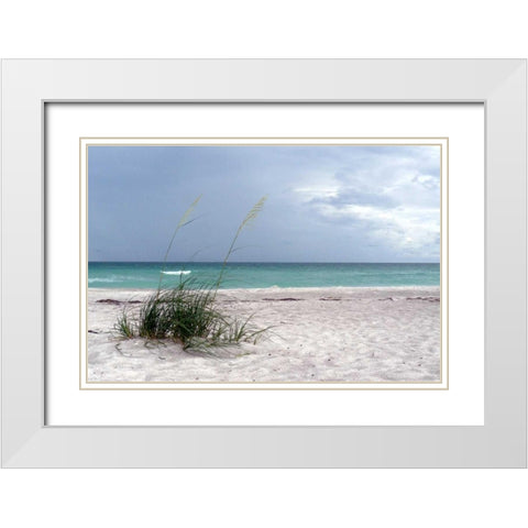 Shoreline White Modern Wood Framed Art Print with Double Matting by Peck, Gail