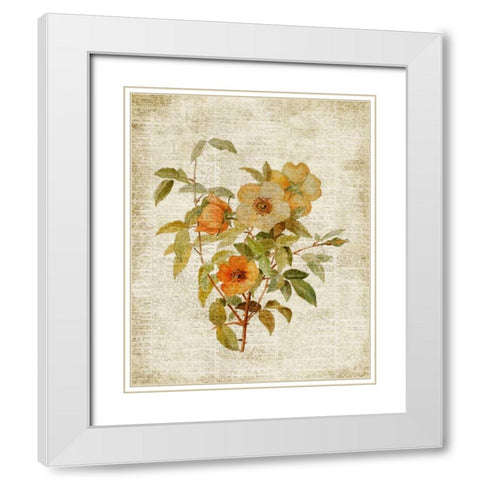 Roses on Newsprint I White Modern Wood Framed Art Print with Double Matting by Loreth, Lanie