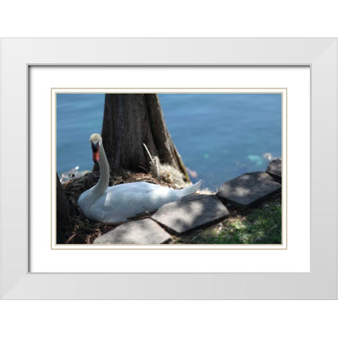 Blue Sky Beach I White Modern Wood Framed Art Print with Double Matting by Rodriguez, Jairo