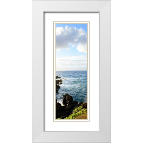 Overlooking the Bluffs I White Modern Wood Framed Art Print with Double Matting by Nawrocke, Bruce