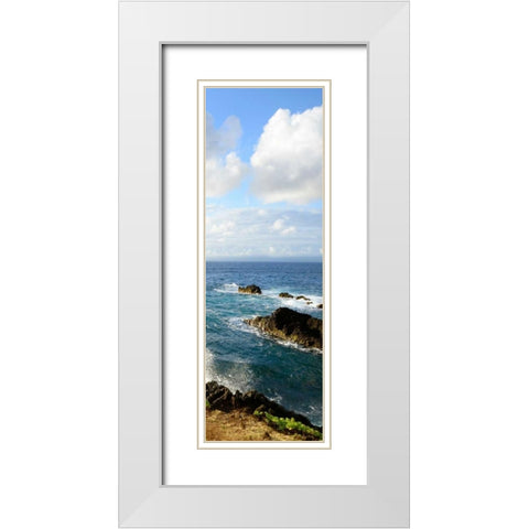 Overlooking the Bluffs II White Modern Wood Framed Art Print with Double Matting by Nawrocke, Bruce
