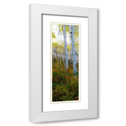 Aspen in the Day II White Modern Wood Framed Art Print with Double Matting by Mansfield, Kathy