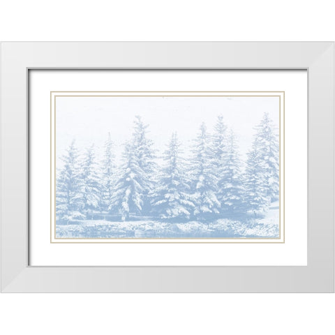Winter Forest White Modern Wood Framed Art Print with Double Matting by Mansfield, Kathy