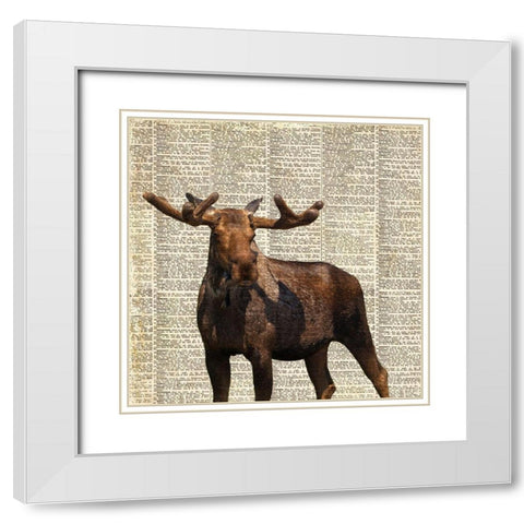 Country Moose I White Modern Wood Framed Art Print with Double Matting by Coppel, Anna