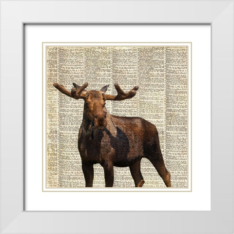 Country Moose I White Modern Wood Framed Art Print with Double Matting by Coppel, Anna