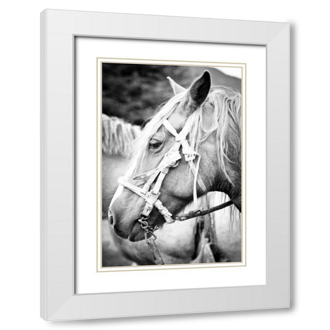 Before the Ride I White Modern Wood Framed Art Print with Double Matting by Coppel, Anna