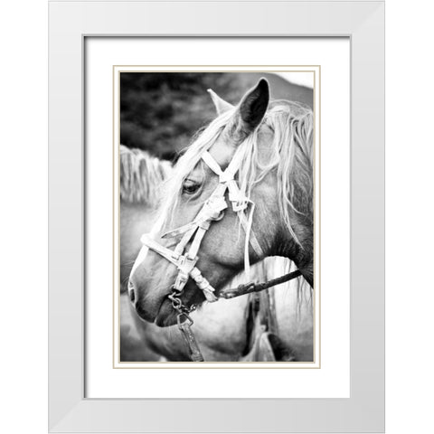 Before the Ride I White Modern Wood Framed Art Print with Double Matting by Coppel, Anna