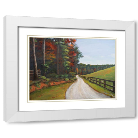 Country Road I White Modern Wood Framed Art Print with Double Matting by Hakimipour, Tiffany
