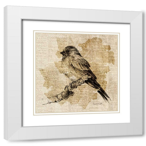 Bird Study I White Modern Wood Framed Art Print with Double Matting by Loreth, Lanie