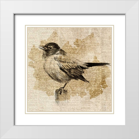 Bird Study II White Modern Wood Framed Art Print with Double Matting by Loreth, Lanie