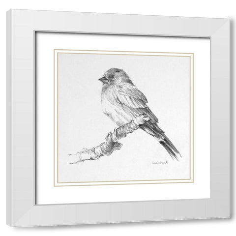 Bird Drawing I White Modern Wood Framed Art Print with Double Matting by Loreth, Lanie