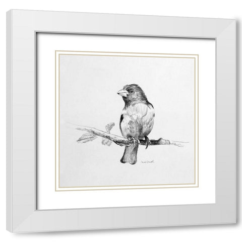 Bird Drawing IV White Modern Wood Framed Art Print with Double Matting by Loreth, Lanie