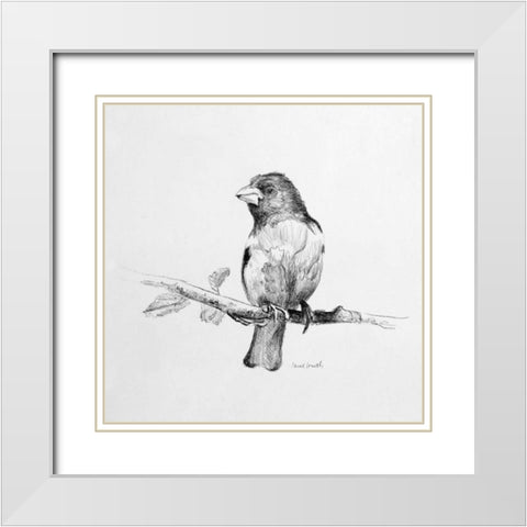 Bird Drawing IV White Modern Wood Framed Art Print with Double Matting by Loreth, Lanie