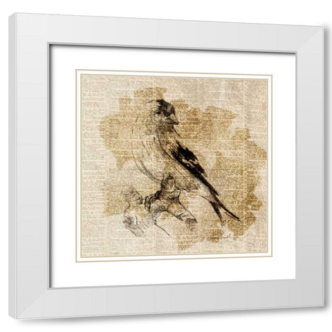 Bird Study III White Modern Wood Framed Art Print with Double Matting by Loreth, Lanie