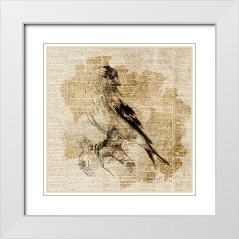 Bird Study III White Modern Wood Framed Art Print with Double Matting by Loreth, Lanie