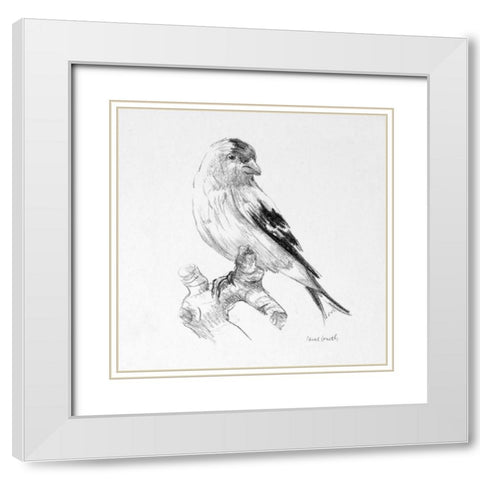 Bird Drawing II White Modern Wood Framed Art Print with Double Matting by Loreth, Lanie