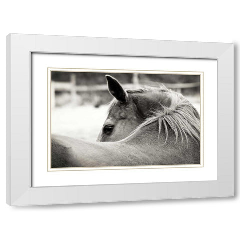 Over His Shoulder White Modern Wood Framed Art Print with Double Matting by Peck, Gail