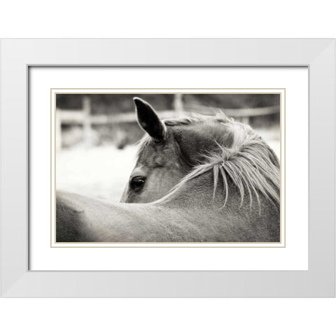 Over His Shoulder White Modern Wood Framed Art Print with Double Matting by Peck, Gail