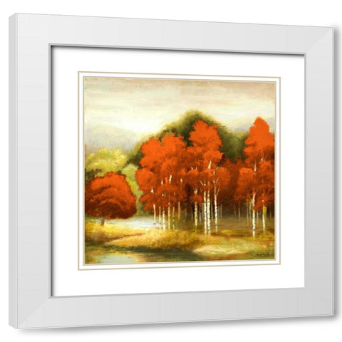 Autumn Birchwood I White Modern Wood Framed Art Print with Double Matting by Marcon, Michael