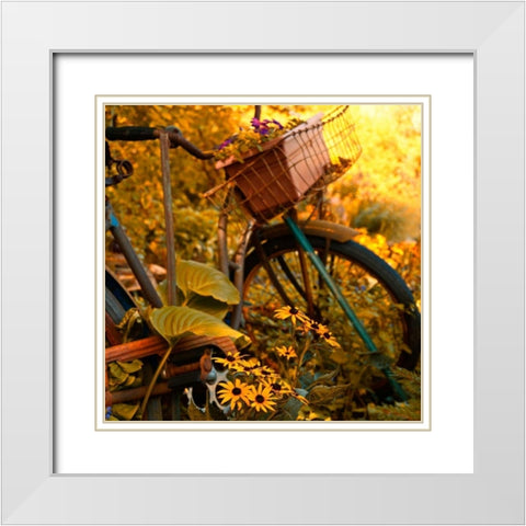 Garden Bike White Modern Wood Framed Art Print with Double Matting by Nawrocke, Bruce