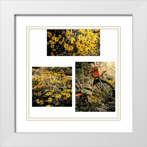 Gerber Daisy Garden Set White Modern Wood Framed Art Print with Double Matting by Nawrocke, Bruce