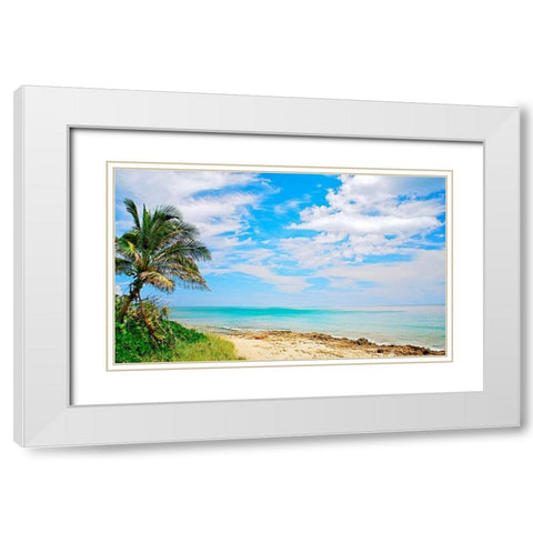 Paradise White Modern Wood Framed Art Print with Double Matting by Peck, Gail