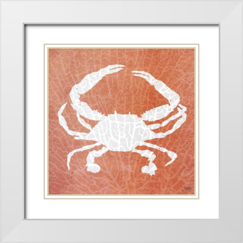 Sealife on Coral IV White Modern Wood Framed Art Print with Double Matting by DeRice, Julie