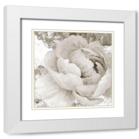 Light Grey Flowers II White Modern Wood Framed Art Print with Double Matting by Loreth, Lanie
