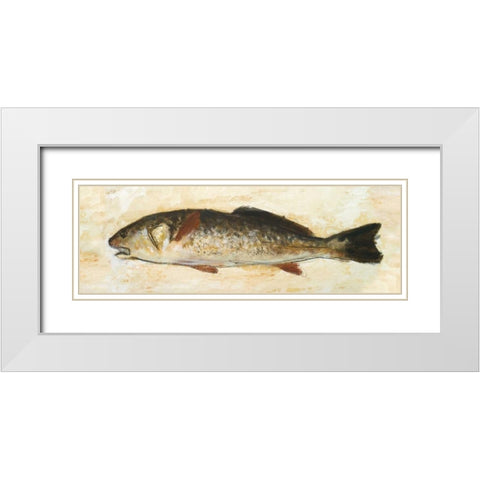 Catch of the Day II White Modern Wood Framed Art Print with Double Matting by Johnson, Walt