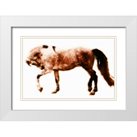 Horse 10 White Modern Wood Framed Art Print with Double Matting by Hoffman, Kate