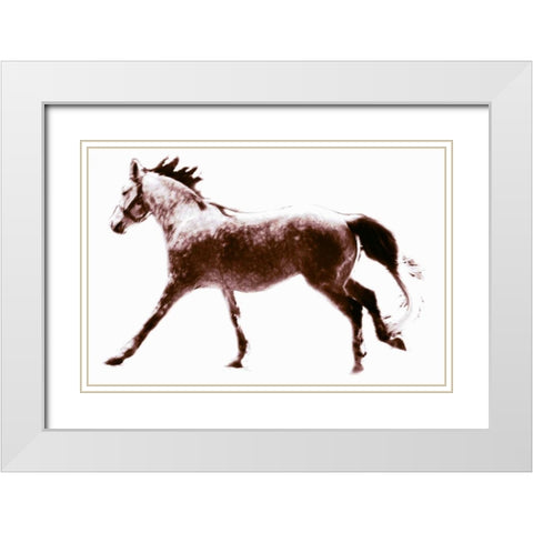 Horse 6 White Modern Wood Framed Art Print with Double Matting by Hoffman, Kate