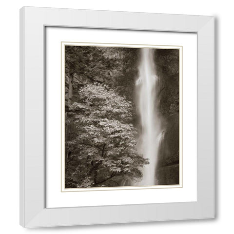 Multnomah Falls White Modern Wood Framed Art Print with Double Matting by Audit, Lisa