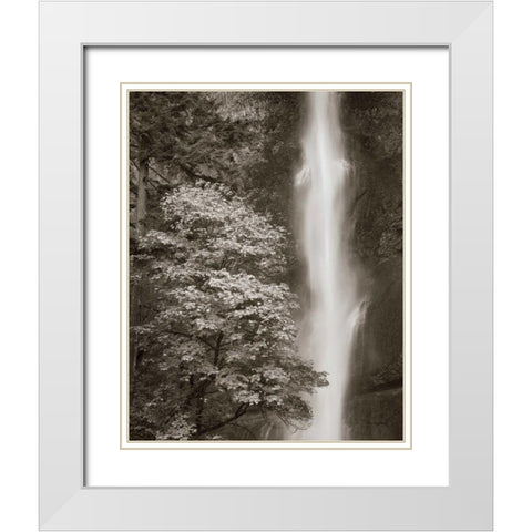 Multnomah Falls White Modern Wood Framed Art Print with Double Matting by Audit, Lisa