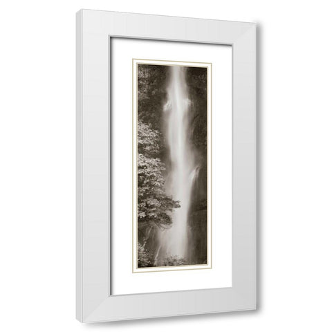Multnomah Falls Panel White Modern Wood Framed Art Print with Double Matting by Audit, Lisa