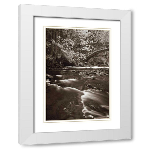 Whatcom Creek White Modern Wood Framed Art Print with Double Matting by Audit, Lisa
