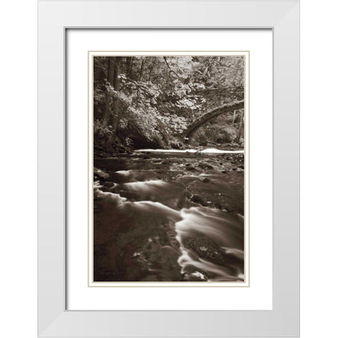 Whatcom Creek White Modern Wood Framed Art Print with Double Matting by Audit, Lisa