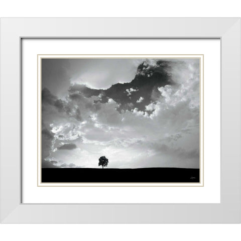 Lone Tree White Modern Wood Framed Art Print with Double Matting by Aledanda