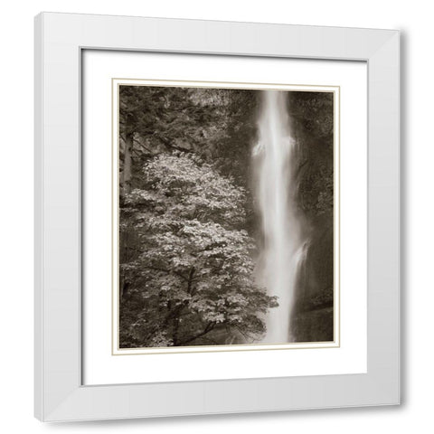 Multnomah Falls White Modern Wood Framed Art Print with Double Matting by Audit, Lisa