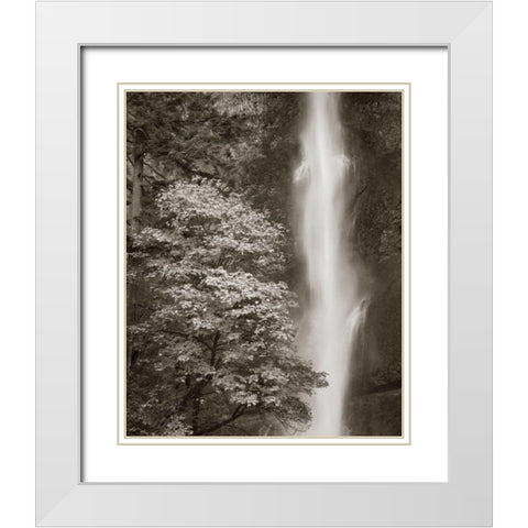 Multnomah Falls White Modern Wood Framed Art Print with Double Matting by Audit, Lisa