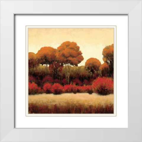 Autumn Forest II White Modern Wood Framed Art Print with Double Matting by Wiens, James