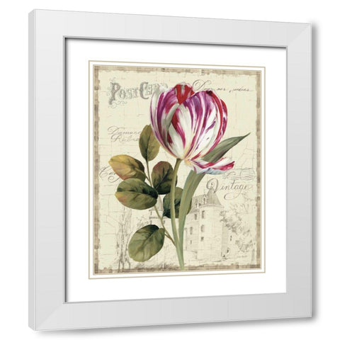 Garden View II - Tulip White Modern Wood Framed Art Print with Double Matting by Audit, Lisa