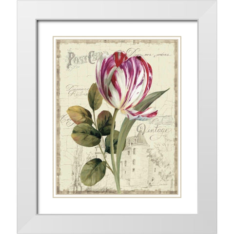 Garden View II - Tulip White Modern Wood Framed Art Print with Double Matting by Audit, Lisa