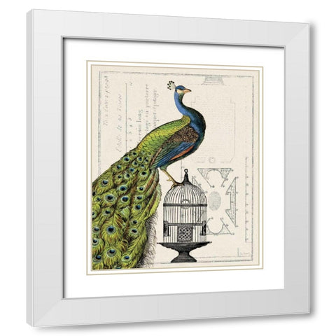 Peacock Birdcage I White Modern Wood Framed Art Print with Double Matting by Schlabach, Sue