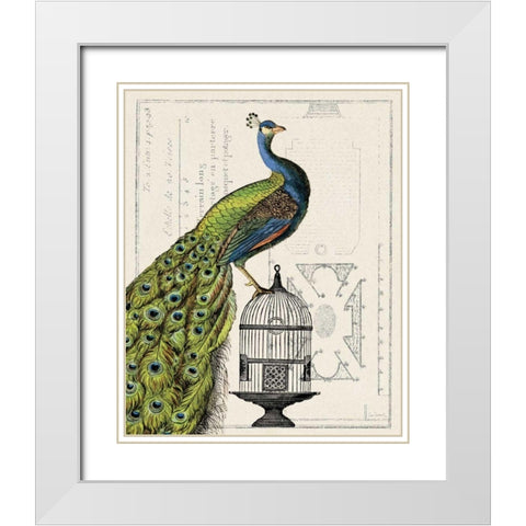 Peacock Birdcage I White Modern Wood Framed Art Print with Double Matting by Schlabach, Sue