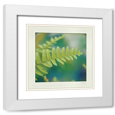 Natures Fern I White Modern Wood Framed Art Print with Double Matting by Schlabach, Sue