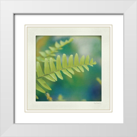 Natures Fern I White Modern Wood Framed Art Print with Double Matting by Schlabach, Sue