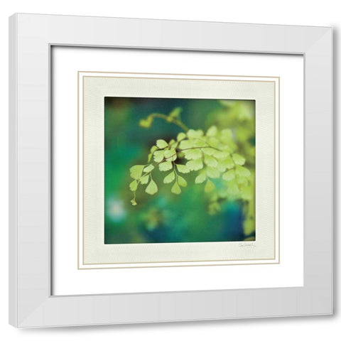 Natures Fern II White Modern Wood Framed Art Print with Double Matting by Schlabach, Sue