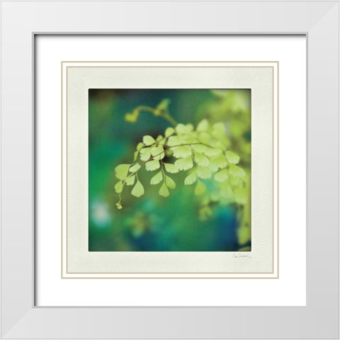 Natures Fern II White Modern Wood Framed Art Print with Double Matting by Schlabach, Sue
